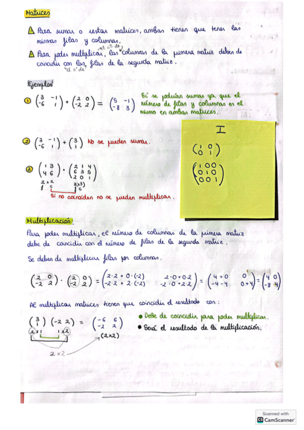 Matrices-Integrales-Explicacion-y-ejercicios-resueltos-2-de-Bach..pdf