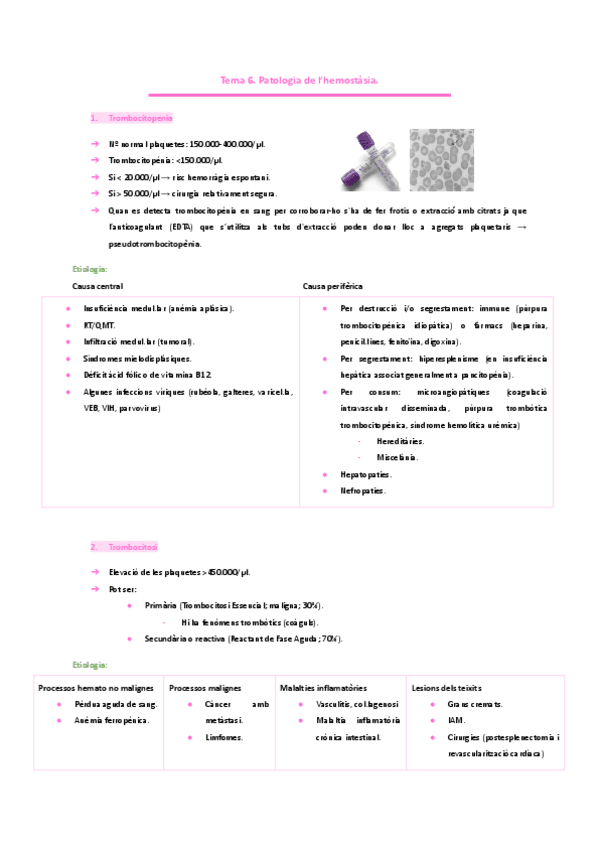 HEMATOLOGIA. -Tema-6.-Patologia-de-lhemostasia..pdf