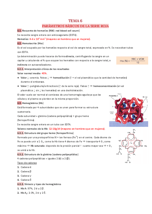 T.6-Hematologia.pdf