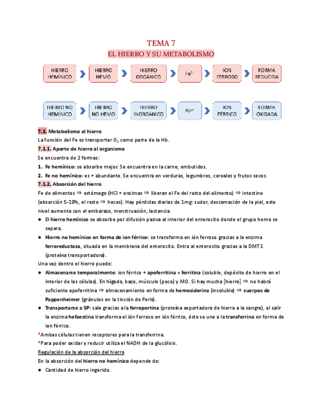 T.7-Hematologia.pdf