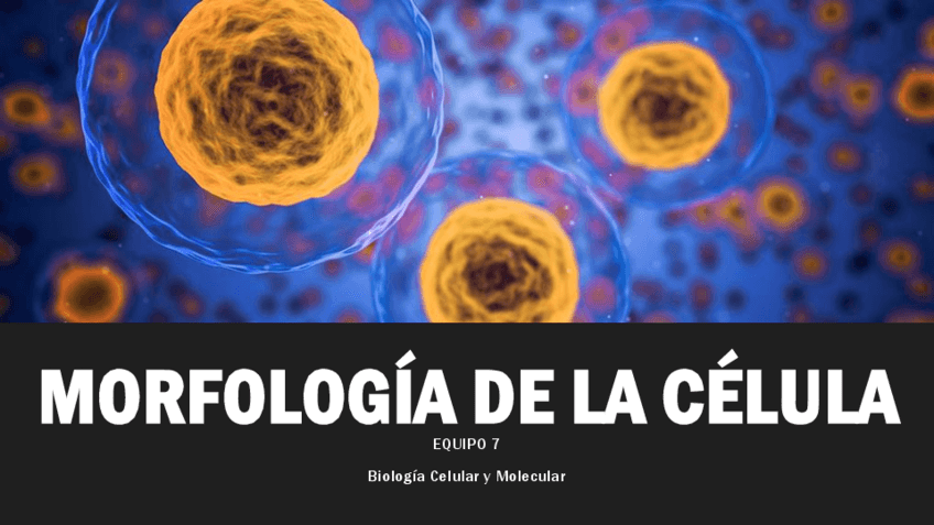 Morfologia-Celular.pdf