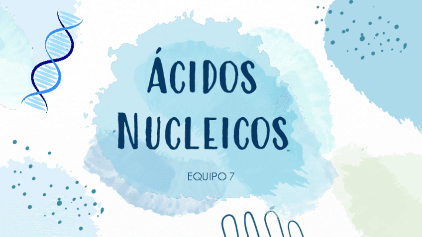 Acidos-Nucleicos.pdf