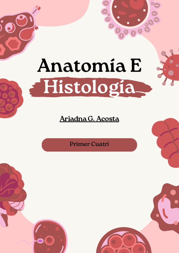 El-Cuerpo-Humano.pdf