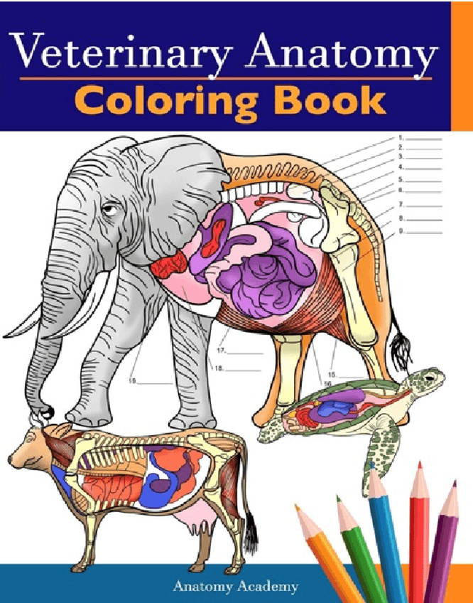 ANATOMIA-PARA-COLOREAR.pdf