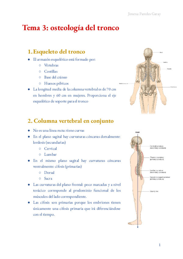 Anatomia-osteologia-del-tronco.pdf