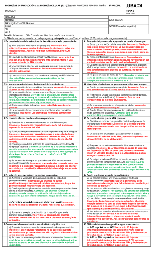 2doP-1erC24-A91-Primer-turno-RESUELTO-final1.pdf