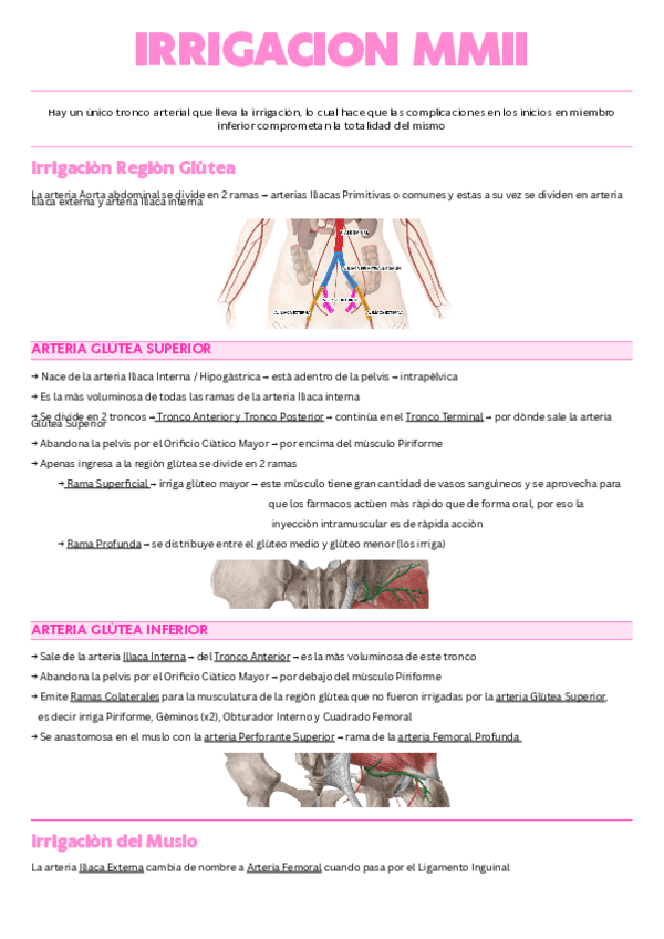 Irrigacion-miembro-inferior.pdf