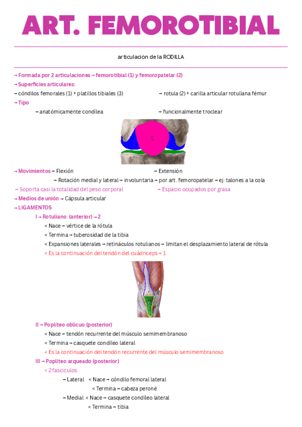 Rodilla-articulacion-femorotibial.pdf