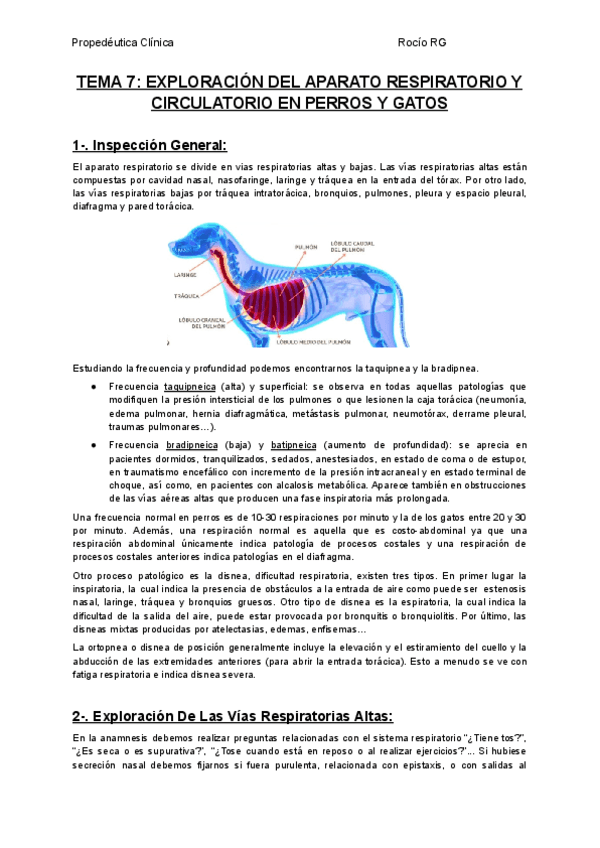TEMA-7-EXPLORACION-DEL-APARATO-RESPIRATORIO-Y-CIRCULATORIO-EN-PERROS-Y-GATOS.pdf