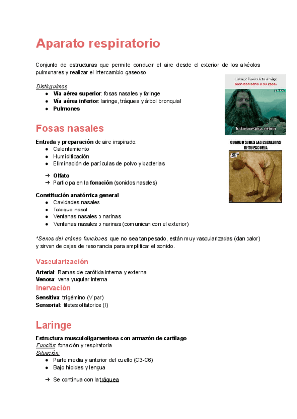 Anatomia-Aparato-Respiratorio.pdf