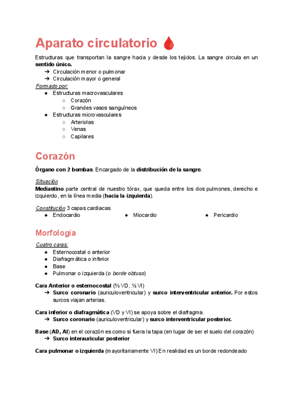 Anatomia-Sistema-Circulatorio.pdf