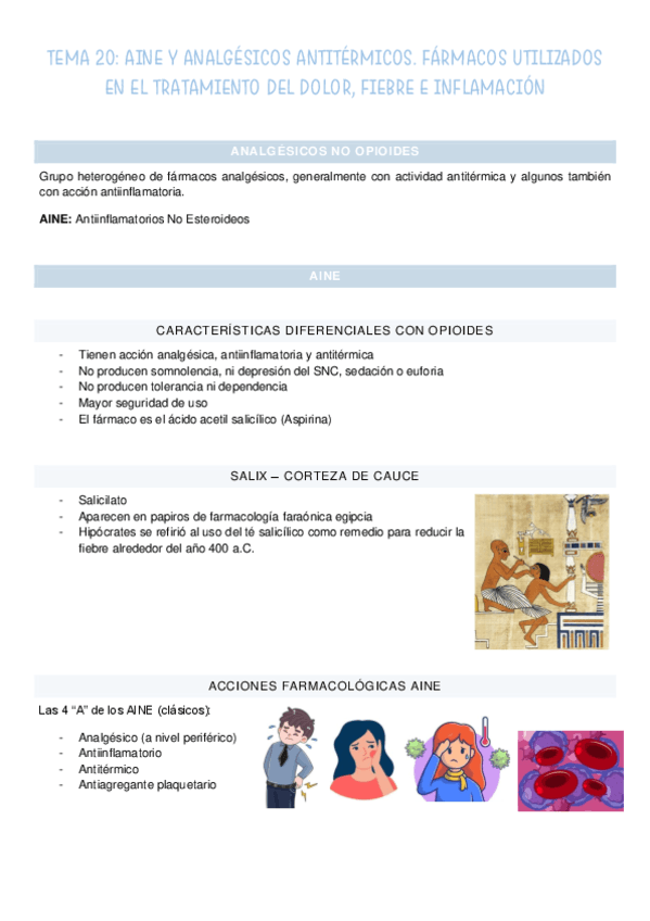 T20-AINE-y-analgesicos-termicos.pdf