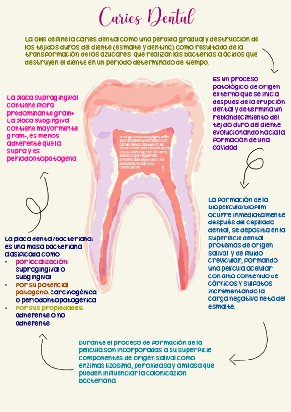caries-dental.pdf