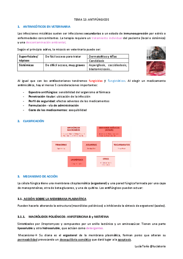 Farma T11 Antifúngicos.pdf