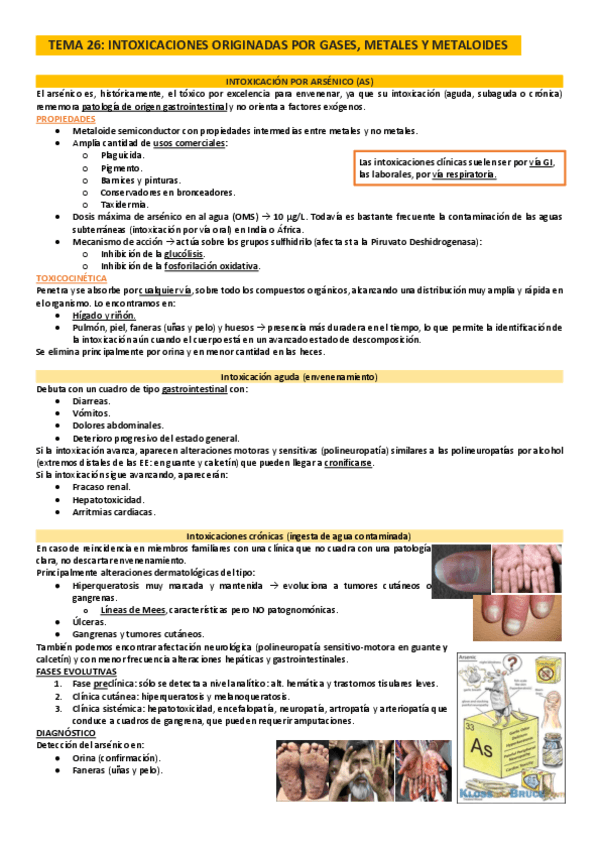 Legal.26.Intoxicaciones-por-gases.pdf