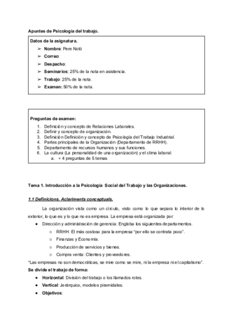 Apuntes de Psicologia del trabajo..pdf