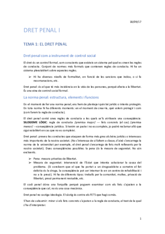 Dret penal I.pdf