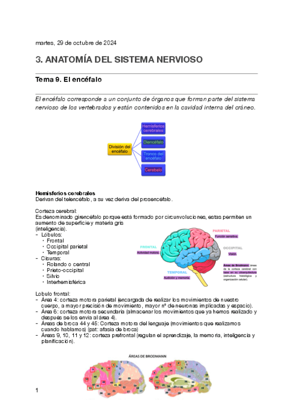 TEMA-9.-RESUMEN.pdf