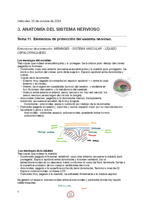 TEMA-11.-RESUMEN.pdf