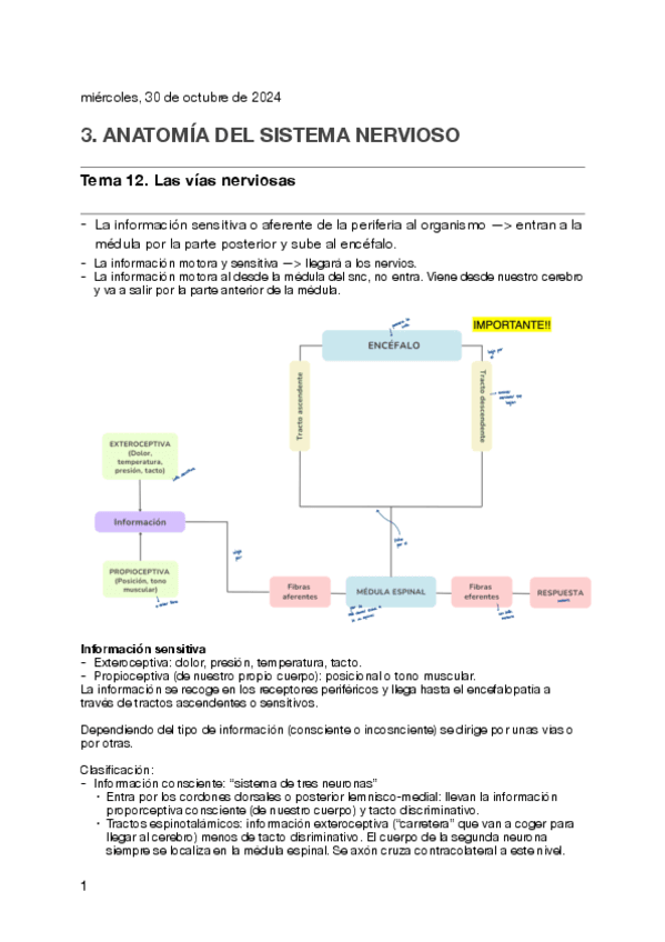 TEMA-12.pdf