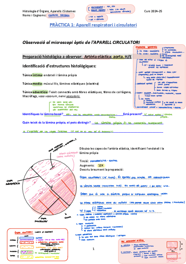 Guion-practica-1-HOAS.pdf