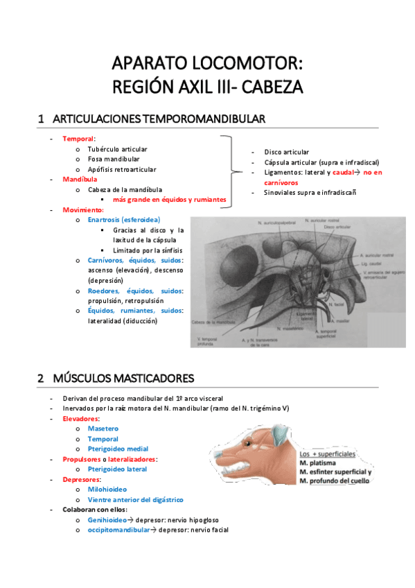 APARATO-LOCOMOTOR-AXIL-3.pdf