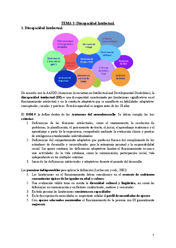 TEMA-3-Discapacidad-Intelectual.pdf