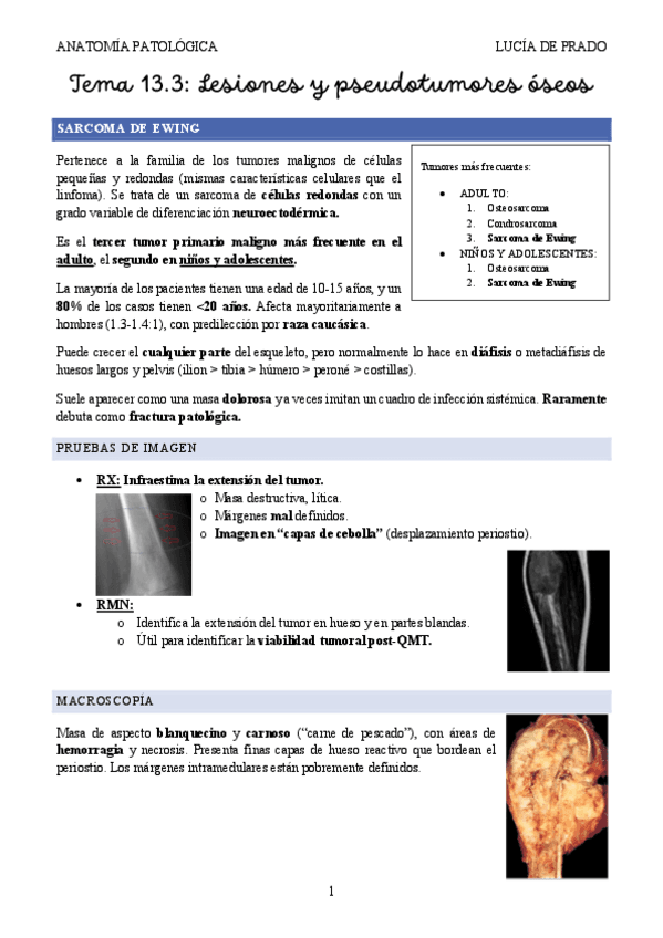 LESIONES-OSEAS-Parte-3.pdf