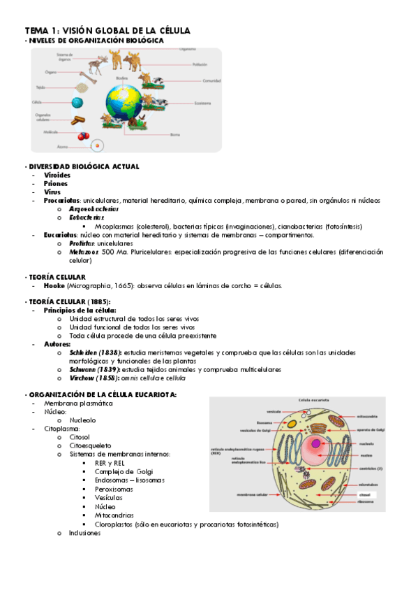 Tema-1-Bio.Cel..pdf