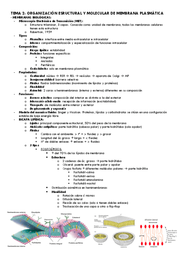 Tema-2-Bio.Cel..pdf