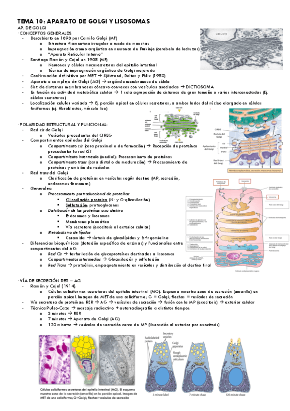 Tema-10-Bio.Cel..pdf