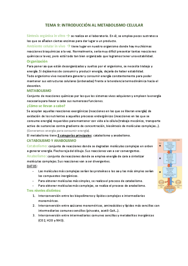 TEMA-9-introduccion-al-metabolismo-celular.pdf