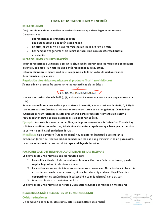 TEMA-10-metabolismo-y-energia.pdf