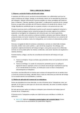 Tema 1 tyss .pdf