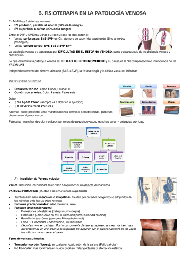 6.-fisioterapia-en-patologia-venosa.pdf