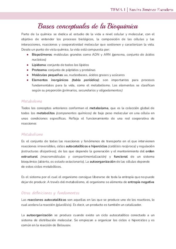 Tema-1-Bases-conceptuales.pdf