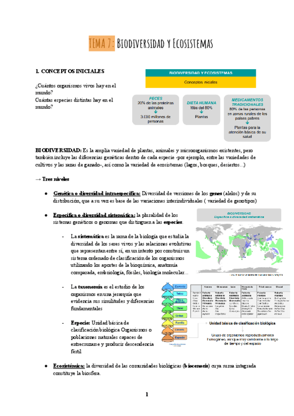 TEMA-7--BIODIVERSIDAD-Y-ECOSISTEMAS.pdf