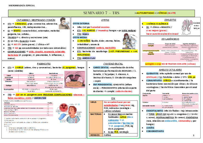 seminario-7-TRS.pdf
