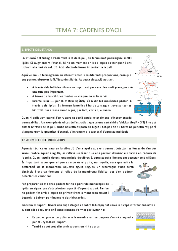 Tema-7-Cadenes-dacil.pdf