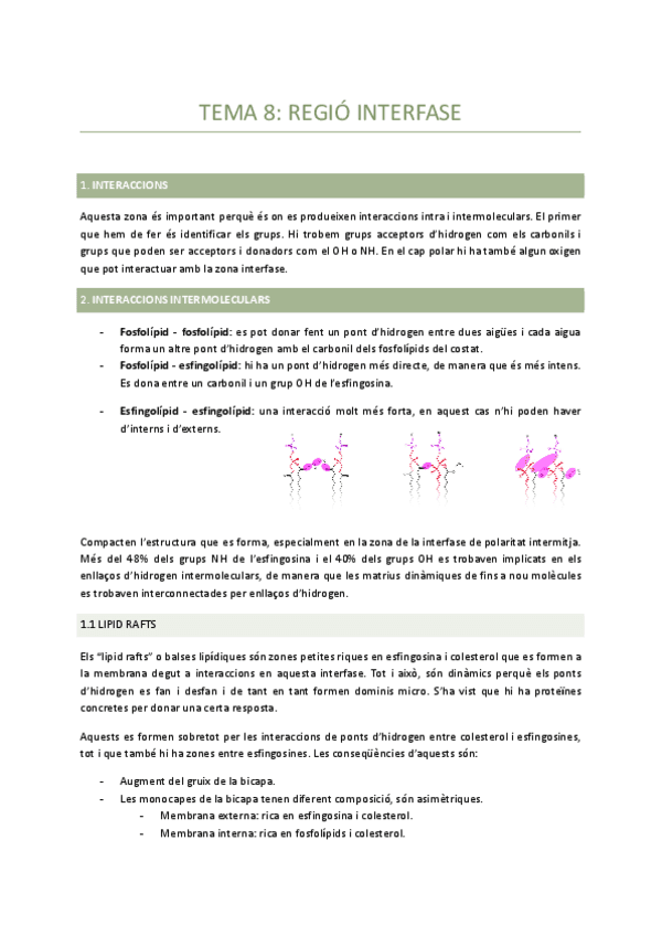 Tema-8-Regio-interfase.pdf
