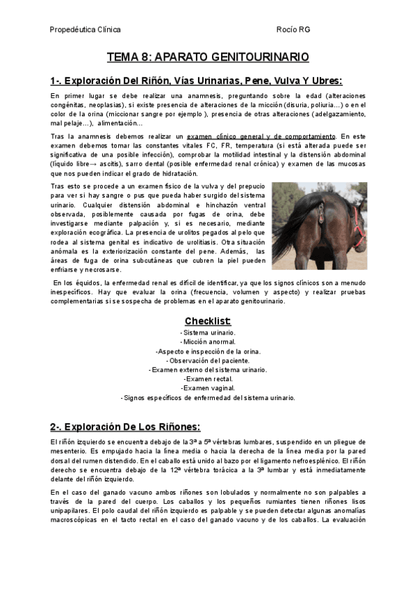 TEMA-8-APARATO-GENITOURINARIO.pdf