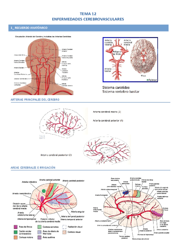 Tema-12.pdf