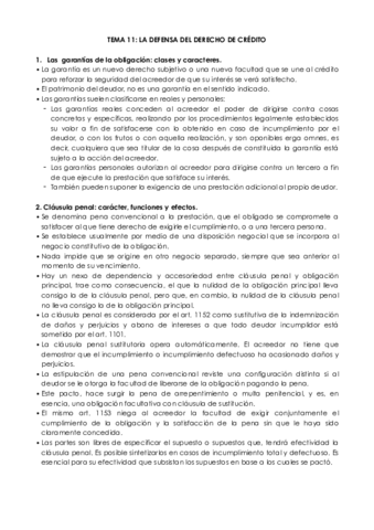 Tema 11.pdf