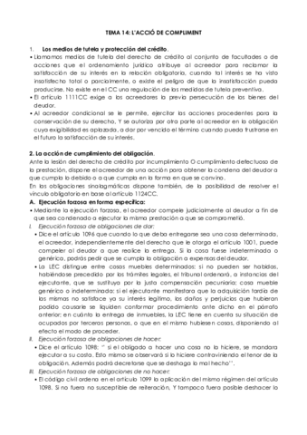 Tema 14.pdf