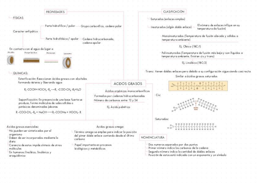 ESQUEMA-BIOLOGIA-SEGUNDO-DE-BACHILLERATO-ACIDOS-GRASOS.pdf