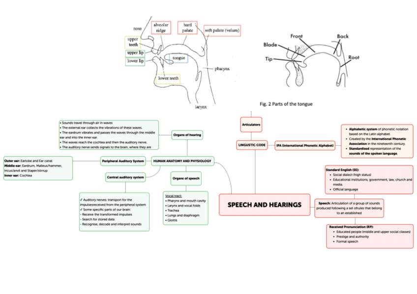 Unit-1-The-production-of-speech-sound.pdf