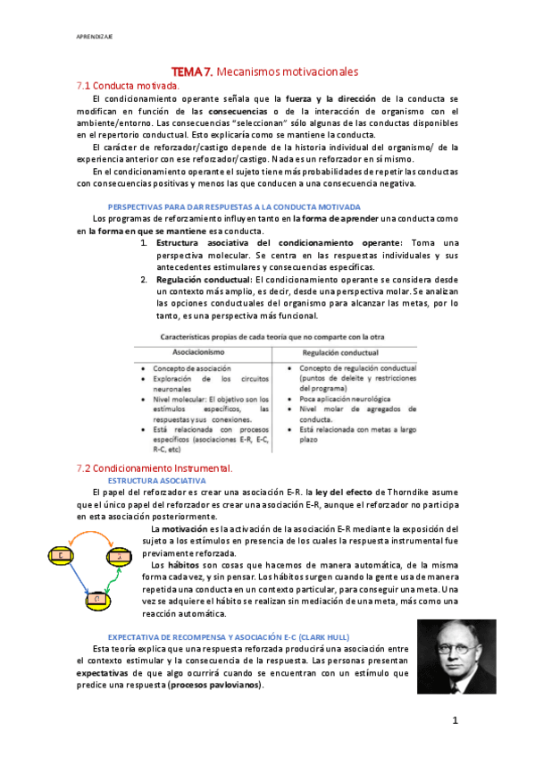 Mecanismos-motivacionales.pdf