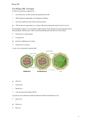 BLOQUE 2B virologia.pdf