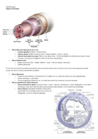 Aparato respiratorio Bea.pdf