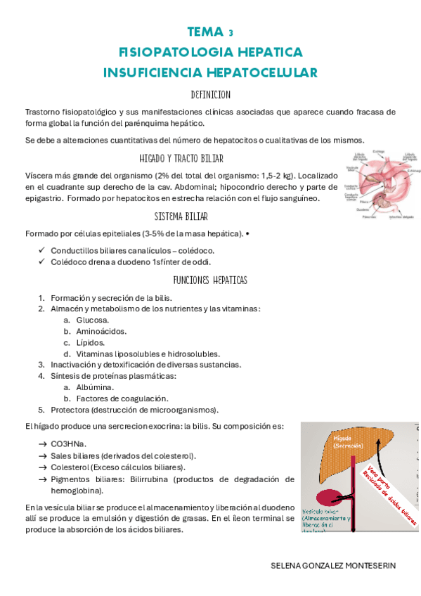 TEMA-3-pdf-digestivo.pdf
